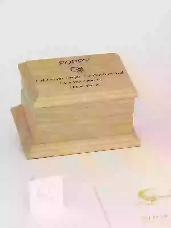 What can I keep my cat's ashes in?